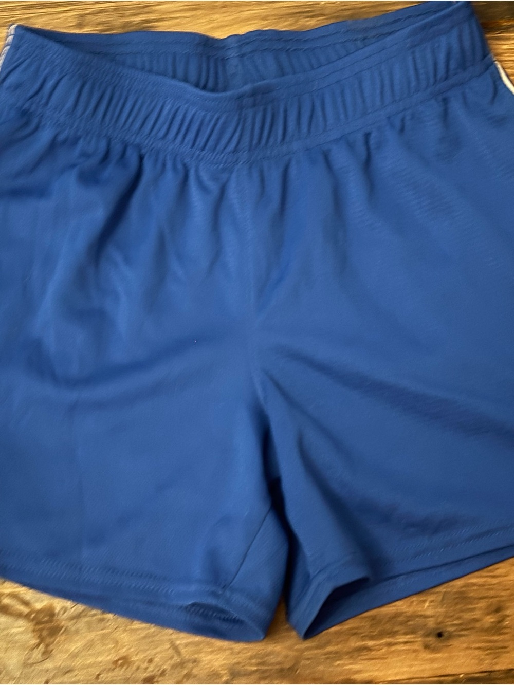 Champion Women's Royal Blue Athletic Shorts